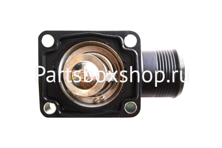 Термостат в сборе с корпусом 02/202467 (4133L032) PBS